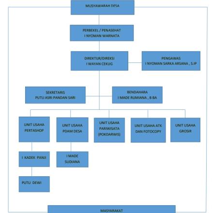 STRUKTUR ORGANISASI BUMDES